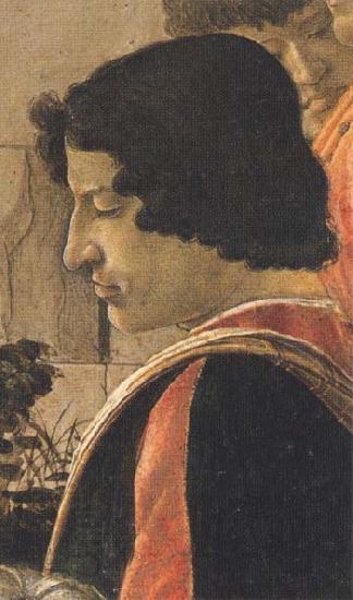 Sandro Botticelli Man in a short black tunic,standing on the right China oil painting art